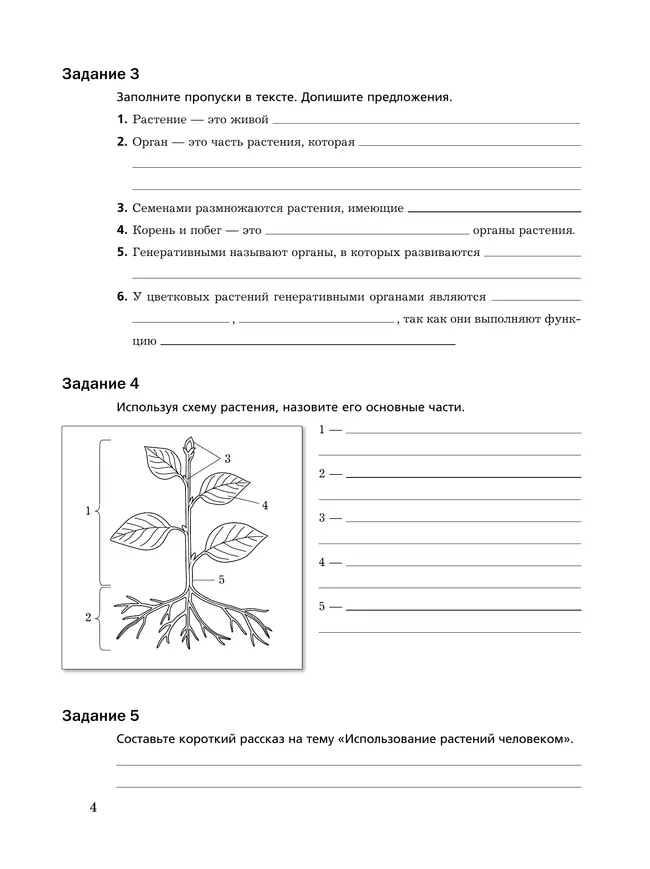 Биология. 6 класс. Рабочая тетрадь. В 2 ч. Часть 1 13