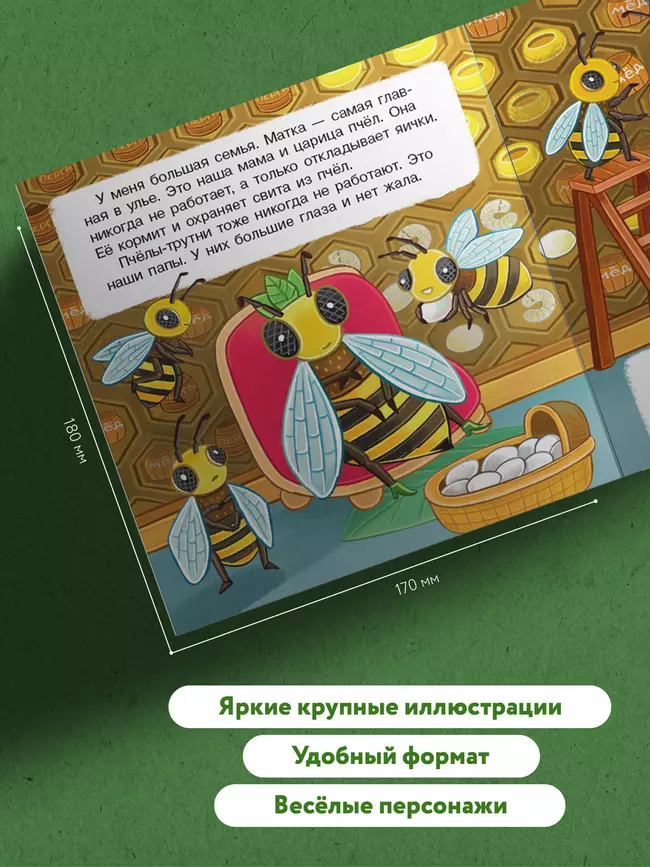 В гостях у пчёлки Жужи 1