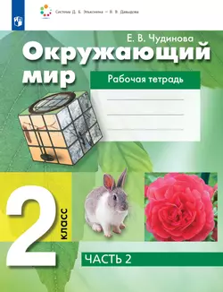 Окружающий мир. Рабочая тетрадь для 2 класса. В 2 частях. Часть 2 1