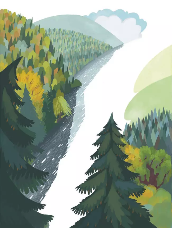 Бобрёнок Бом и скрипка филина 16