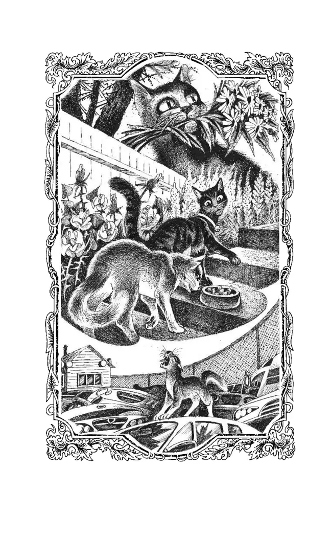 Сборник. Цикл "Нерассказанные истории". Сердце Пестролистой. 11 Сборник. Цикл "Нерассказанные истории". Сердце Пестролистой. 11