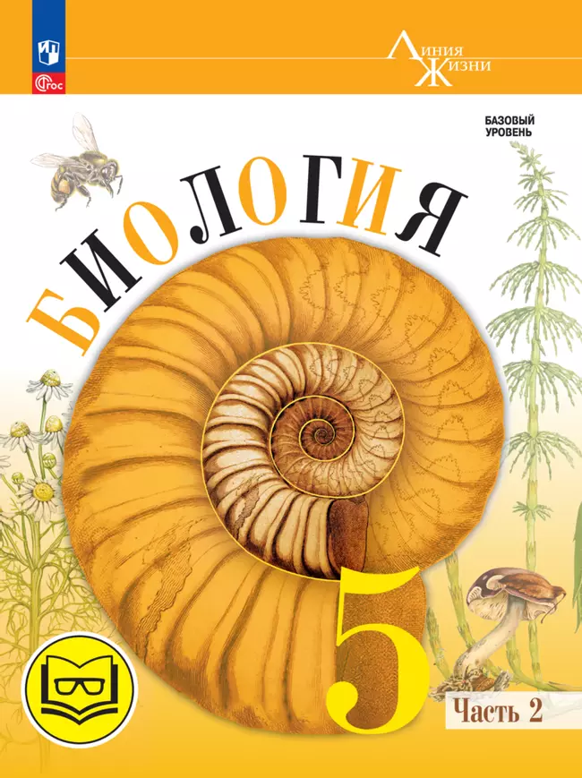 Биология. 5 класс. Учебное пособие. В 2 ч. Часть 2 (для слабовидящих обучающихся) 1 Биология. 5 класс. Учебное пособие. В 2 ч. Часть 2 (для слабовидящих обучающихся) 1
