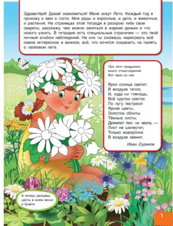 Вспоминаем лето! Учимся видеть и понимать (с наклейками) 25