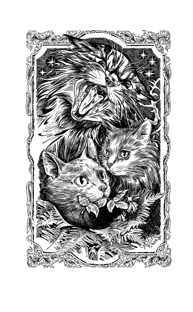 Сборник. Цикл "Нерассказанные истории". Ярость Когтя. 8