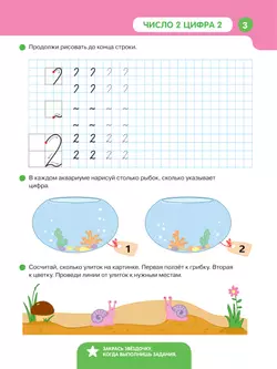 Учимся писать цифры Шевелев К.В. 15