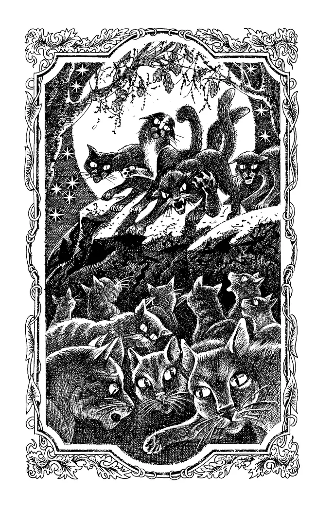 Цикл "Начало племен". Звездная тропа. 50