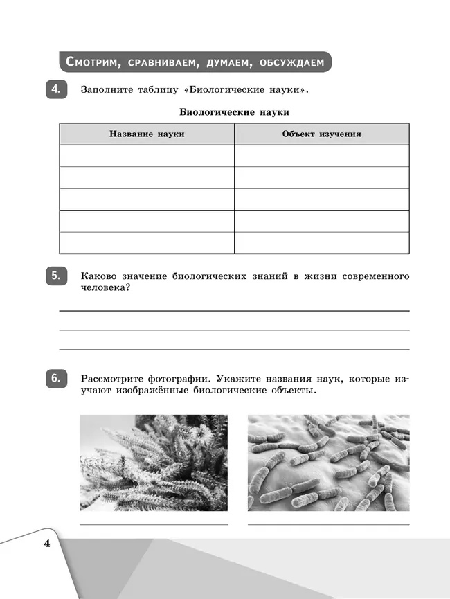 Биология. Рабочая тетрадь. 5 класс 13 Биология. Рабочая тетрадь. 5 класс 13