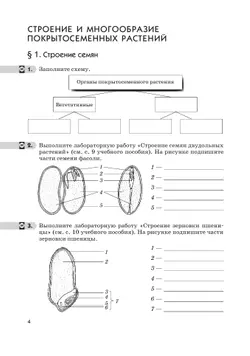 Биология. 6 класс. Многообразие покрытосеменных растений. Рабочая тетрадь с тестовыми заданиями ЕГЭ 33